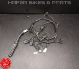 Ducati 996 748 98-02 Kabelbaum für Steuergerät Biposto Heckrahmen V92