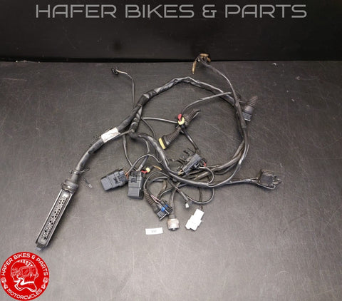 Ducati 996 748 98-02 Kabelbaum für Steuergerät Biposto Heckrahmen V92