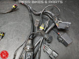 Ducati 748 916 996 Kabelbaum 51011111B Harness wiring Loom für STEUERGERÄT V901
