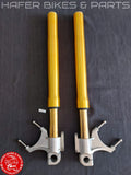 Ducati 998 R S 748 R 916 SPS 996 SPS S Öhlins FG43 Gabelholme Fork V151