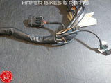 Ducati 998 998S 996R 998R Kabelbaum 51011631A für Scheinwerfer V819