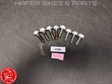 Honda VTR 1000 SP2 SP1 Schrauben KONVOLUT Fussrastenanlage RVT 1000R RC51 V259