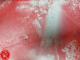 Original Ducati 998 748 Seitenverkleidung links Mitte Verkleidung Fairing V115