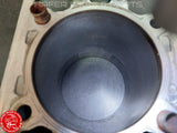 Ducati 996SPS 996 S Kolben und Zylinder 98mm für Motor Engine V124