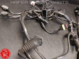 Ducati 996 748 98-02 Kabelbaum für Steuergerät Biposto Heckrahmen V92