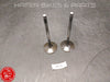 Honda VTR 1000 SP1 SP2 Ventile für Motor Engine RVT RC51 R735