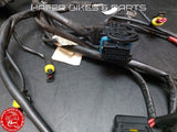 Ducati 998 Kabelbaum für Steuergerät Kabelstrang 51012091A WIRING HARNESS R795