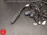 Ducati 996 748 98-02 Kabelbaum für Steuergerät Biposto Heckrahmen V92
