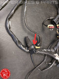 Ducati 996 748 98-02 Kabelbaum für Steuergerät Biposto Heckrahmen V92