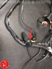 Ducati 996 748 98-02 Kabelbaum für Steuergerät Biposto Heckrahmen V92