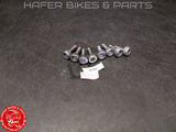 Honda VTR 1000 SP2 SP1 Schrauben KONVOLUT Fussrastenanlage RVT 1000R RC51 V259