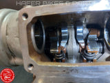 Ducati 996S 996SPS Zylinderkopf stehender Zylinder f.Motor Engine 30120791A V136