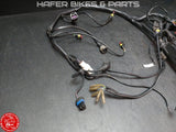 Ducati 748 916 996 Kabelbaum 51011111B Harness wiring Loom für STEUERGERÄT V901