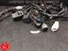Ducati 996 748 98-02 Kabelbaum für Steuergerät Biposto Heckrahmen V92