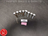 Honda VTR 1000 SP2 SP1 Schrauben KONVOLUT Fussrastenanlage RVT 1000R RC51 V259